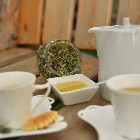 Villa Kuca Za Odmor Vip *