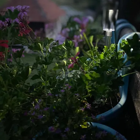 Villa Kuca Za Odmor Vip Kremna