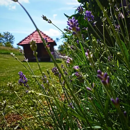 Villa Kuca Za Odmor Vip *
